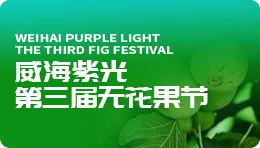 [Sohu] the TV report of the third Ficus carica festival in W