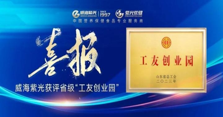 [Honor Update] Weihai Ziguang was awarded the provincial-lev